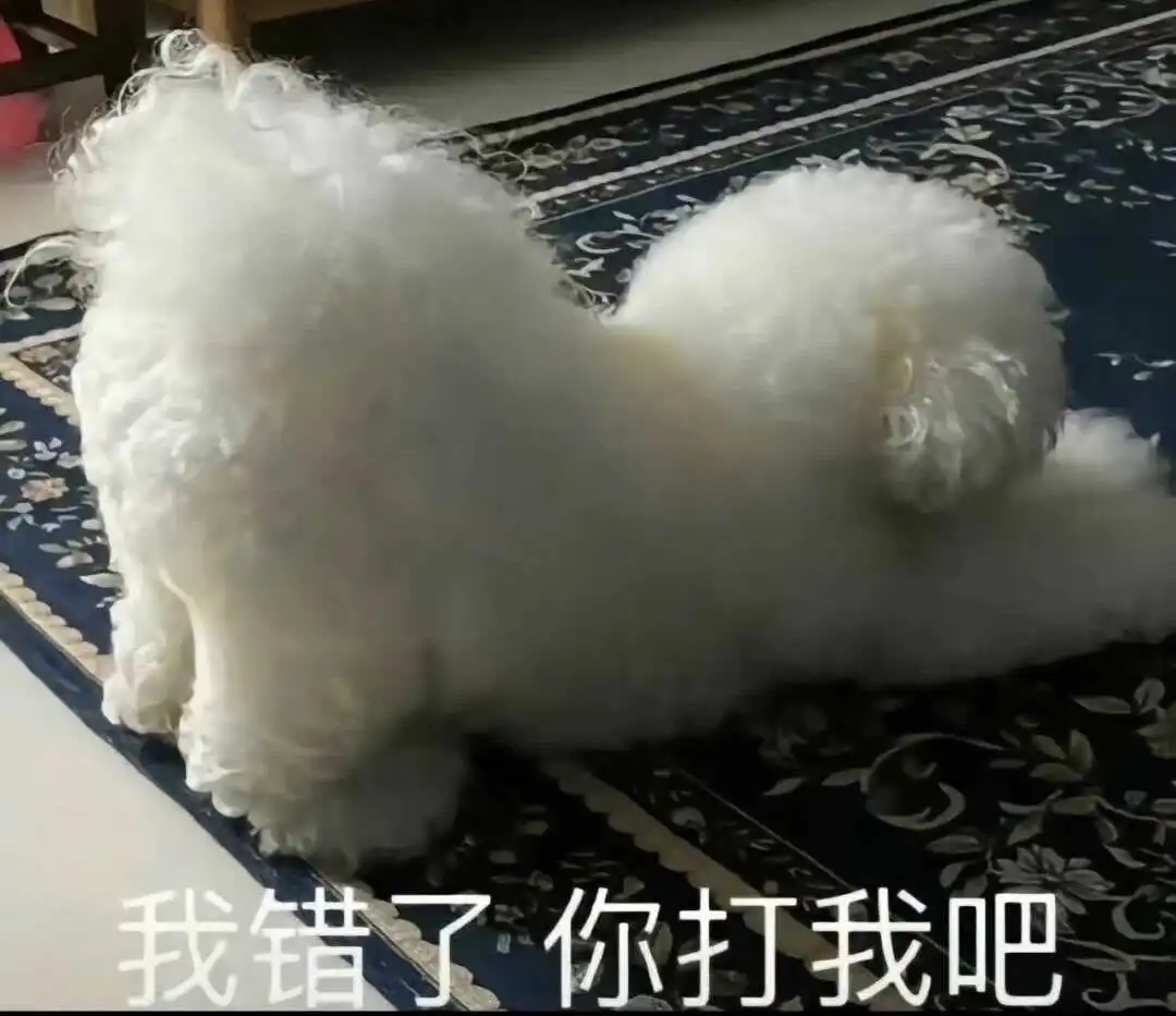 西檬之家-ddlg是什么？字母圈Daddy Dom/Little Girl关系解析