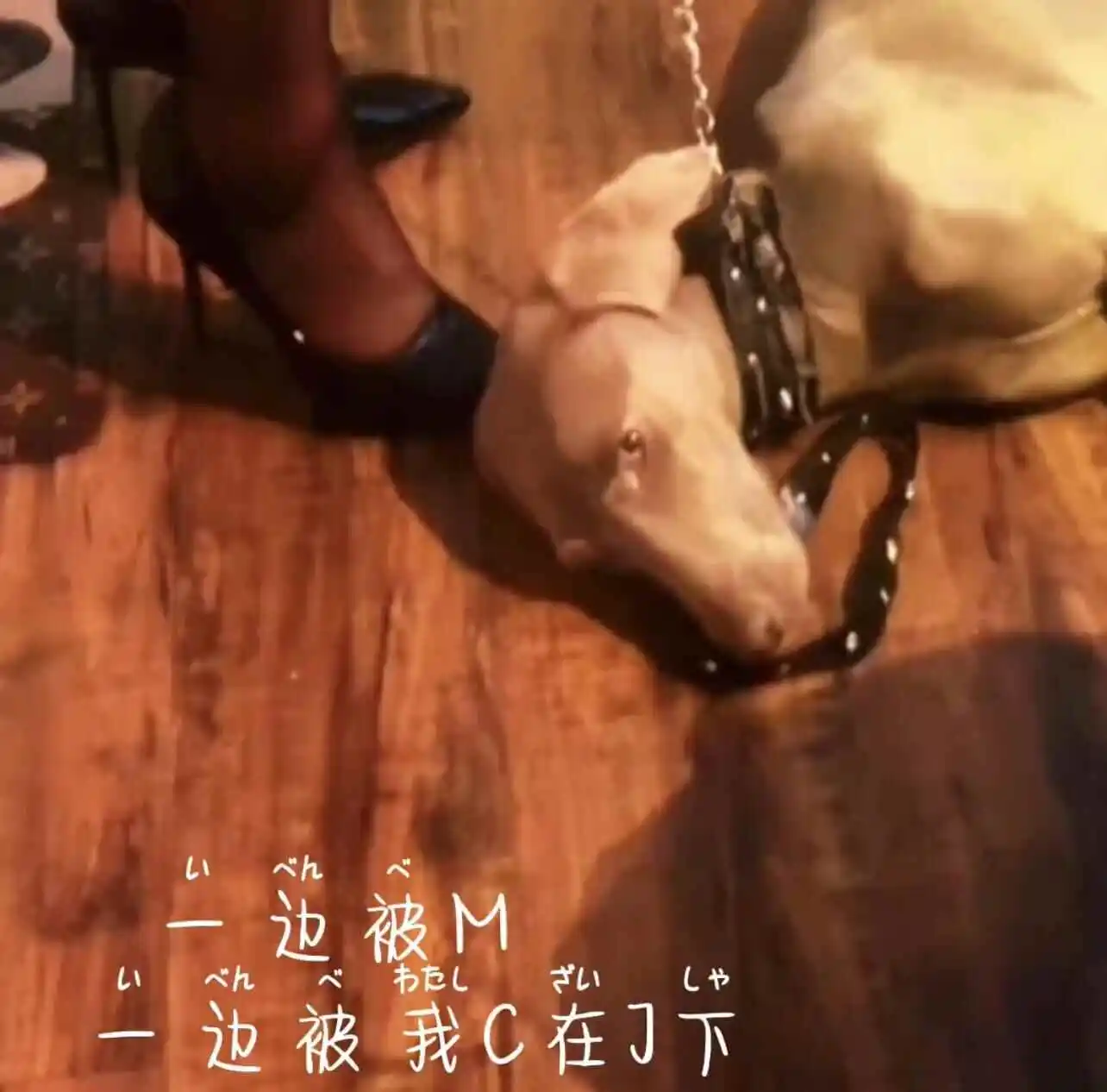 【西檬之家】BDSM入圈：新人必备的SSC原则与术语指南