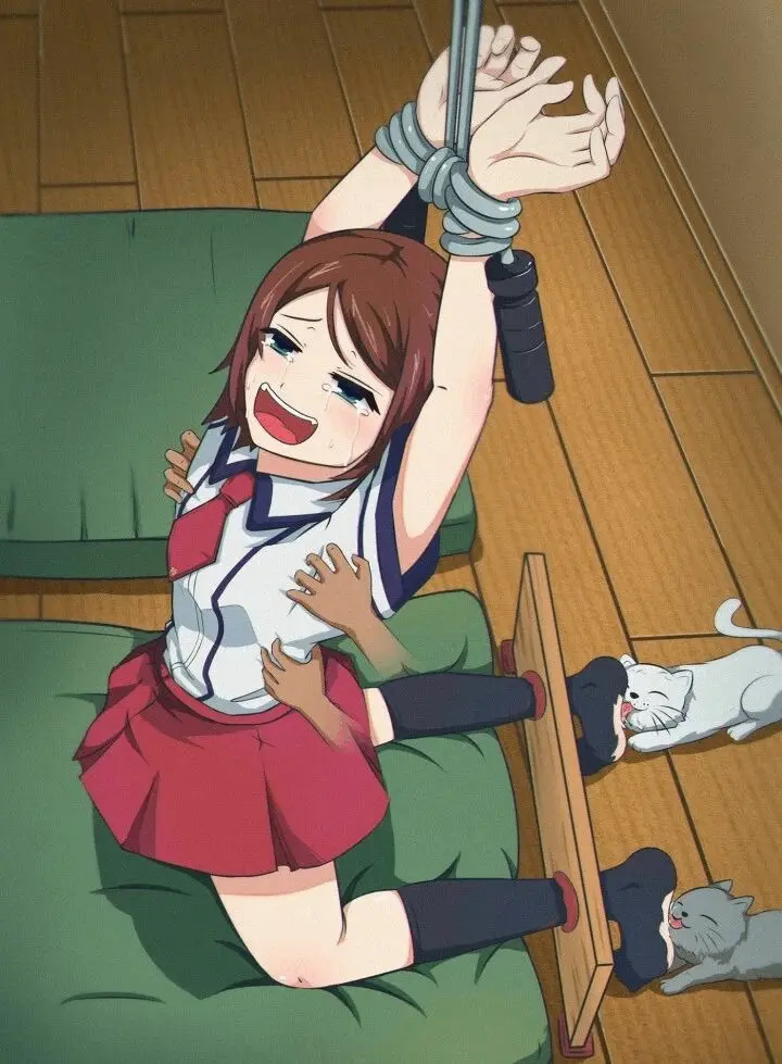 【西檬之家】字母圈新人入圈指南：从理解DOM/SUB到建立安全信任关系