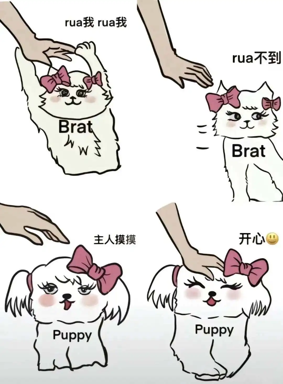 【西檬之家】字母圈新人入圈指南