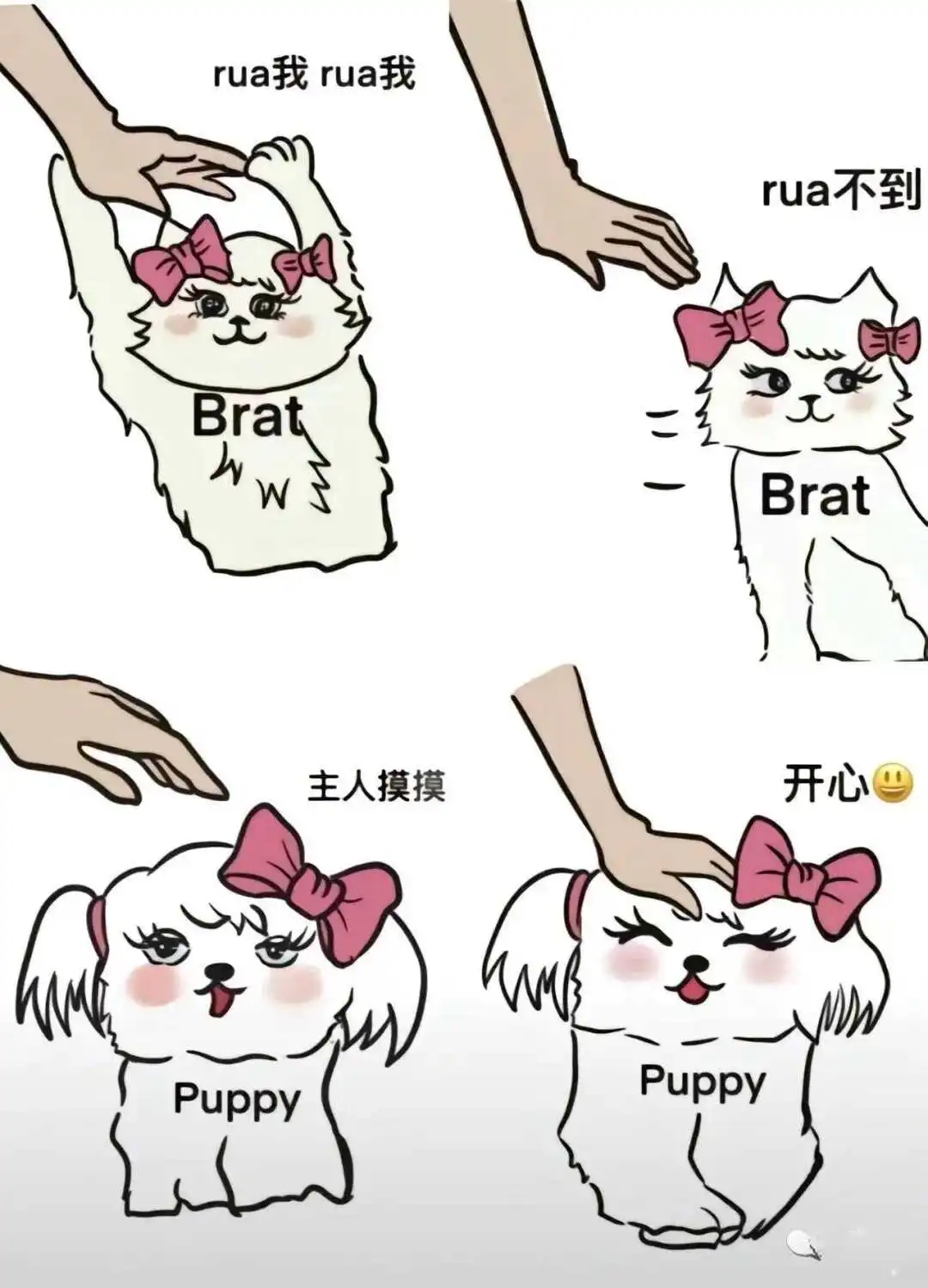 【西檬之家】字母圈新人必看：BDSM核心概念与安全指南