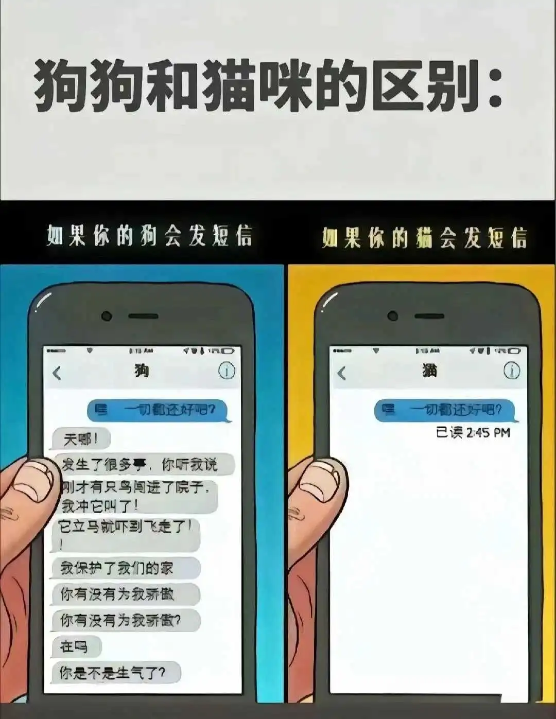 【西檬之家】字母圈新手入门：BDSM的核心原则与术语全解析