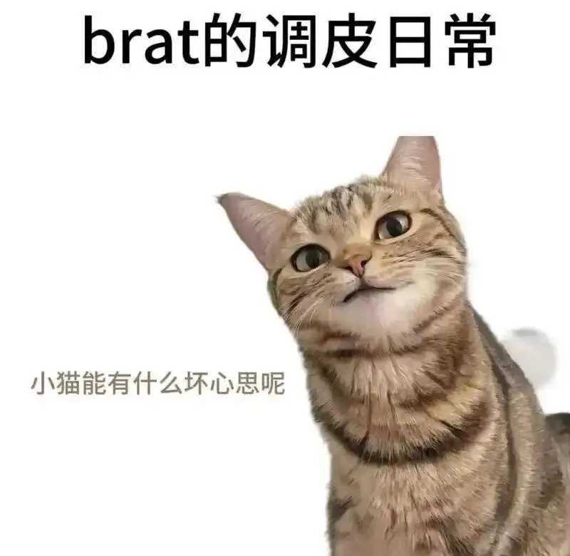 西檬之家-DS关系是什么？DS与SM的差异及字母圈新人如何入门