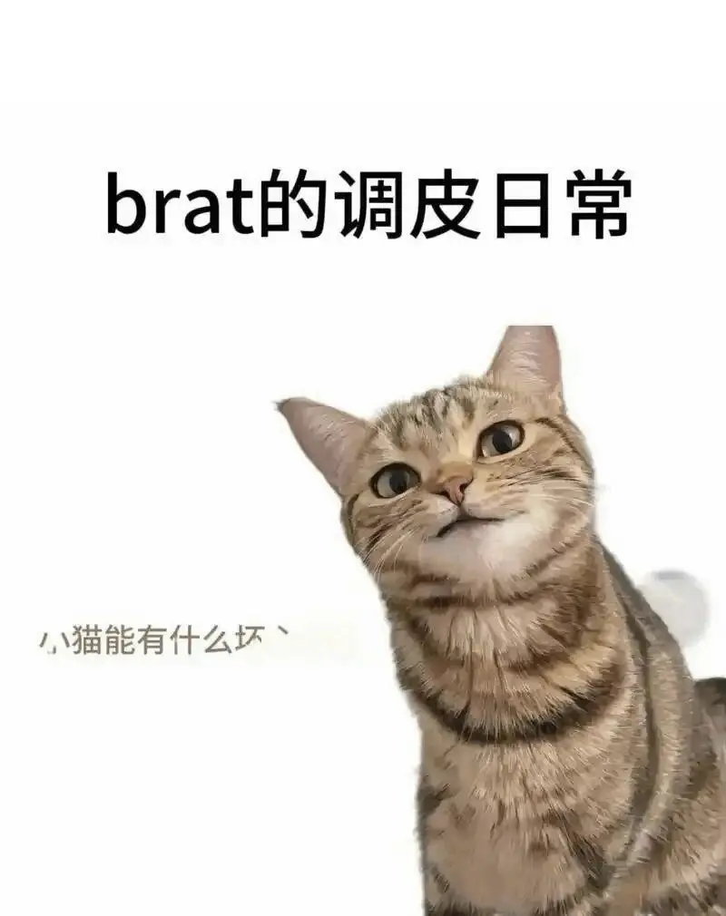 西檬之家-字母圈的K9是什么意思？