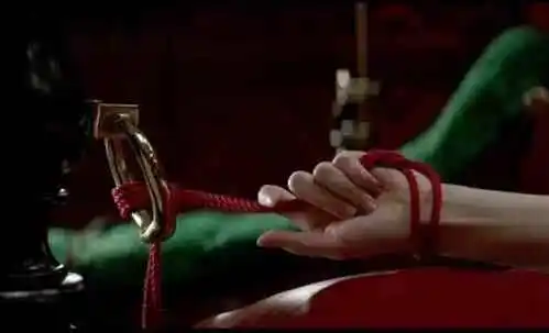 M - 2023_11_03_19_29_IMG_8860